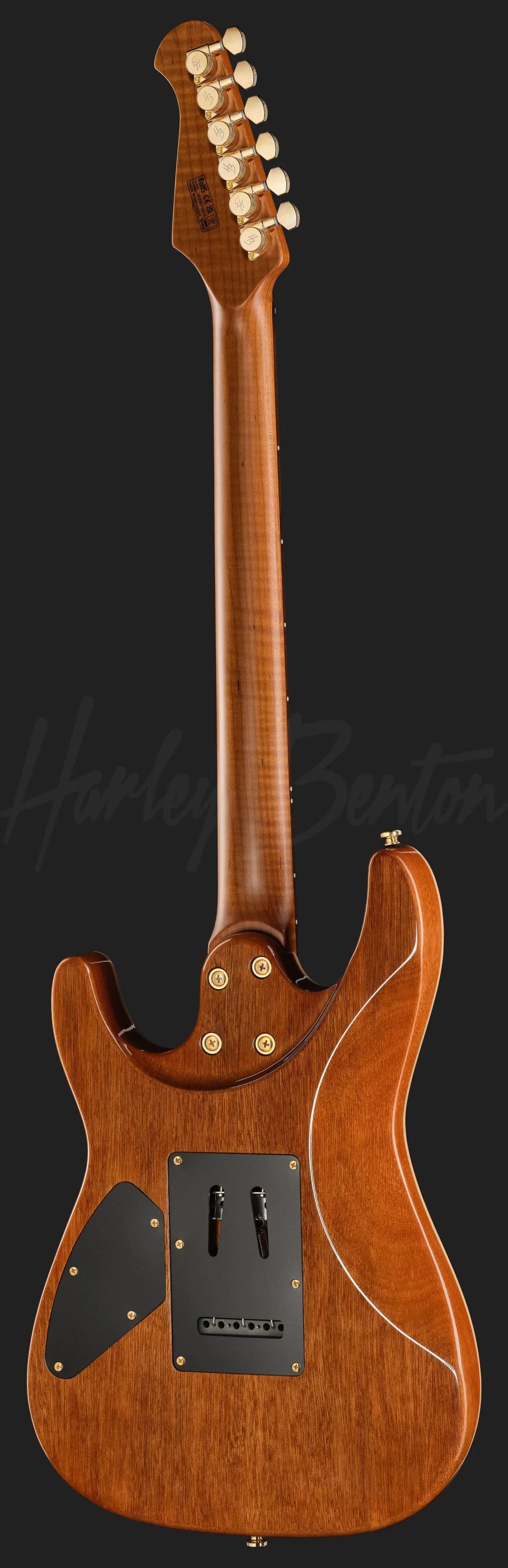 Harley Benton Fusion-IV HSS RW PM — photo 3