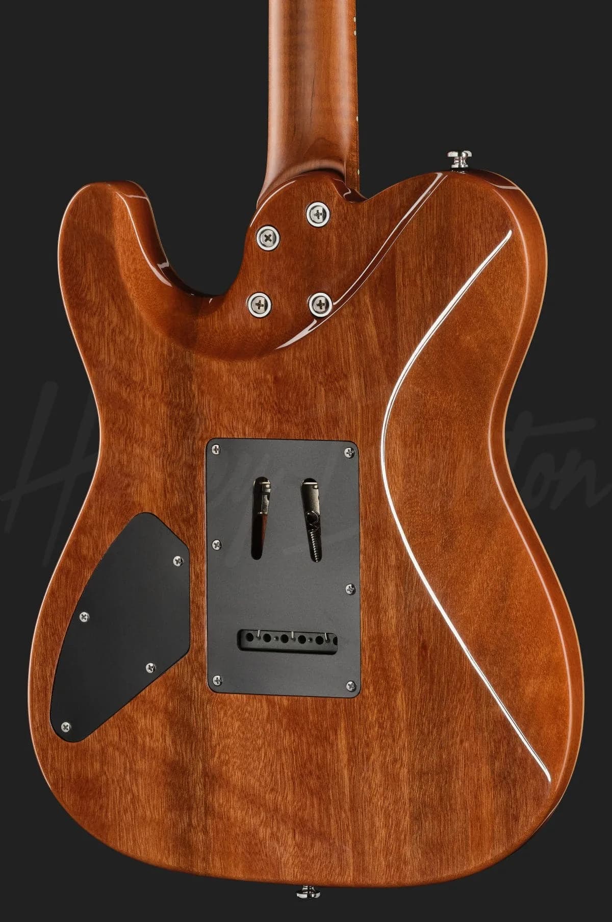 Harley Benton Fusion-T II HH MN QDG — photo 5
