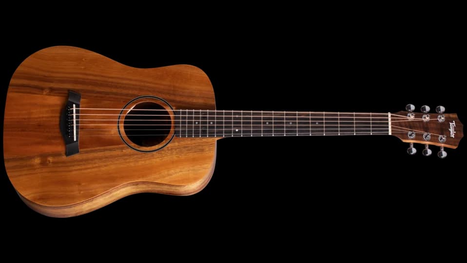 Taylor BTe Koa