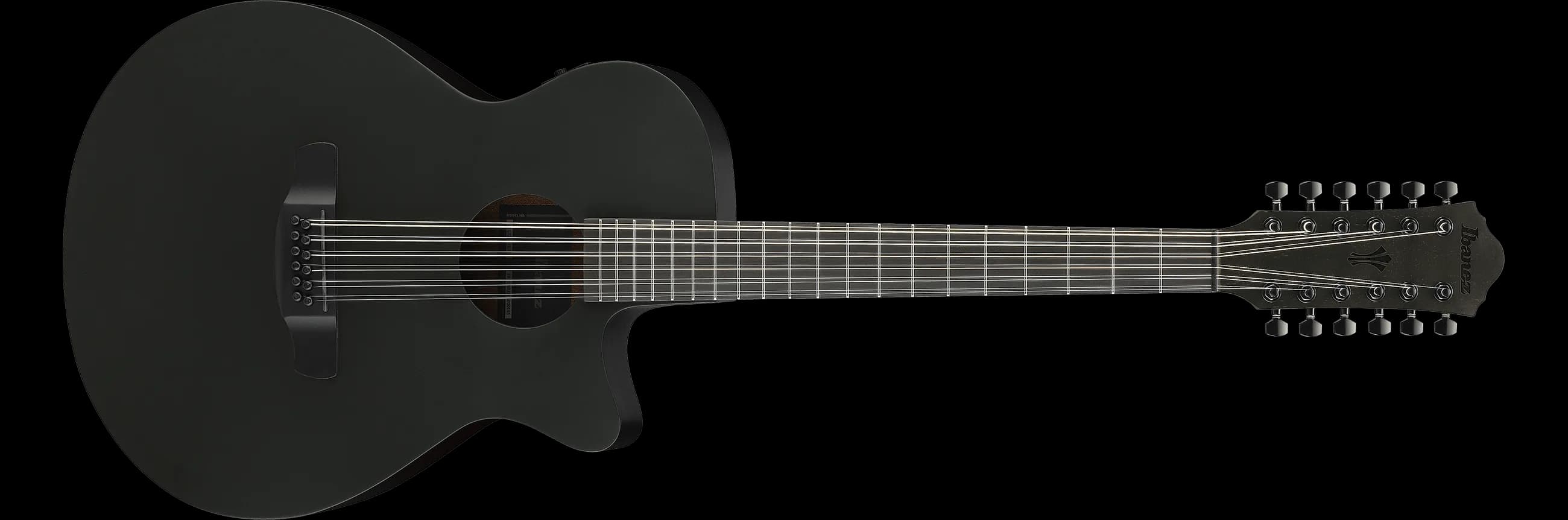 Ibanez AEG1221