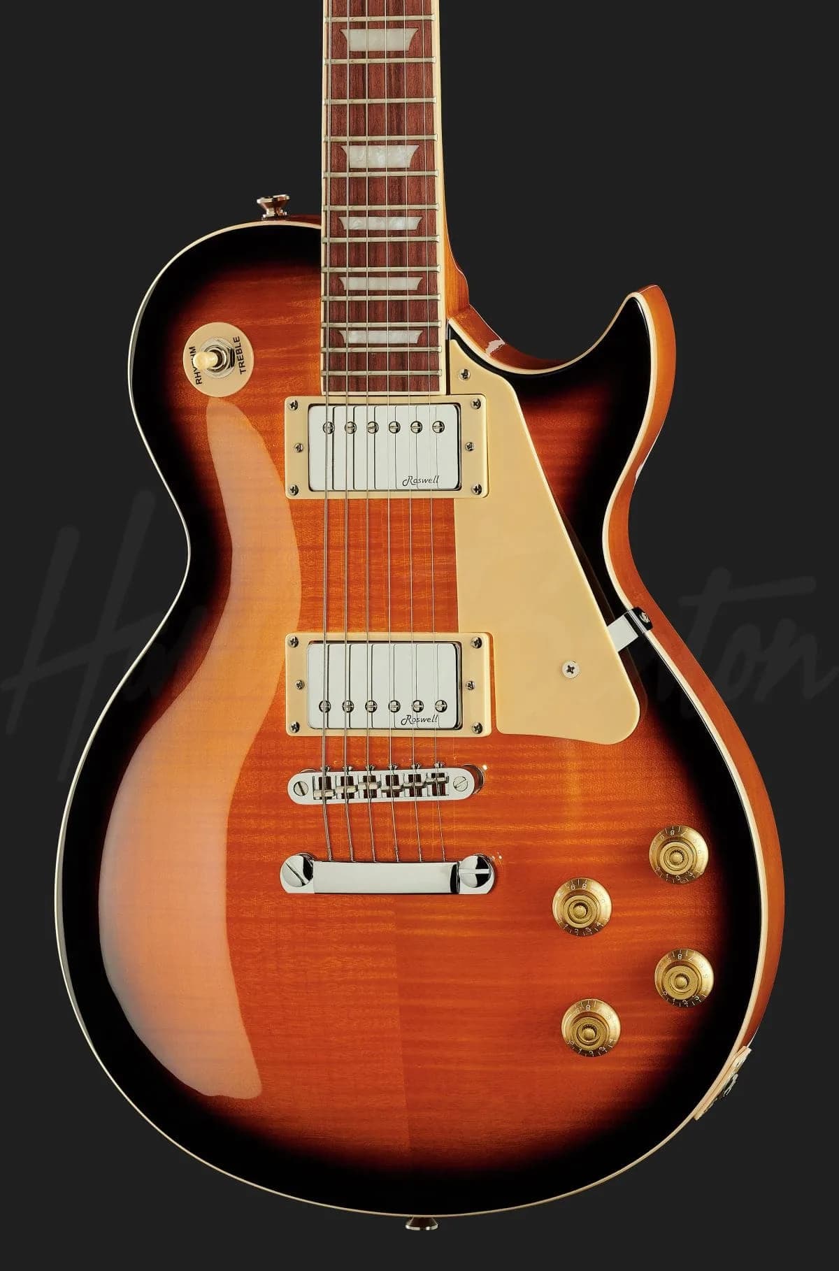 Harley Benton SC-450Plus VB — photo 4