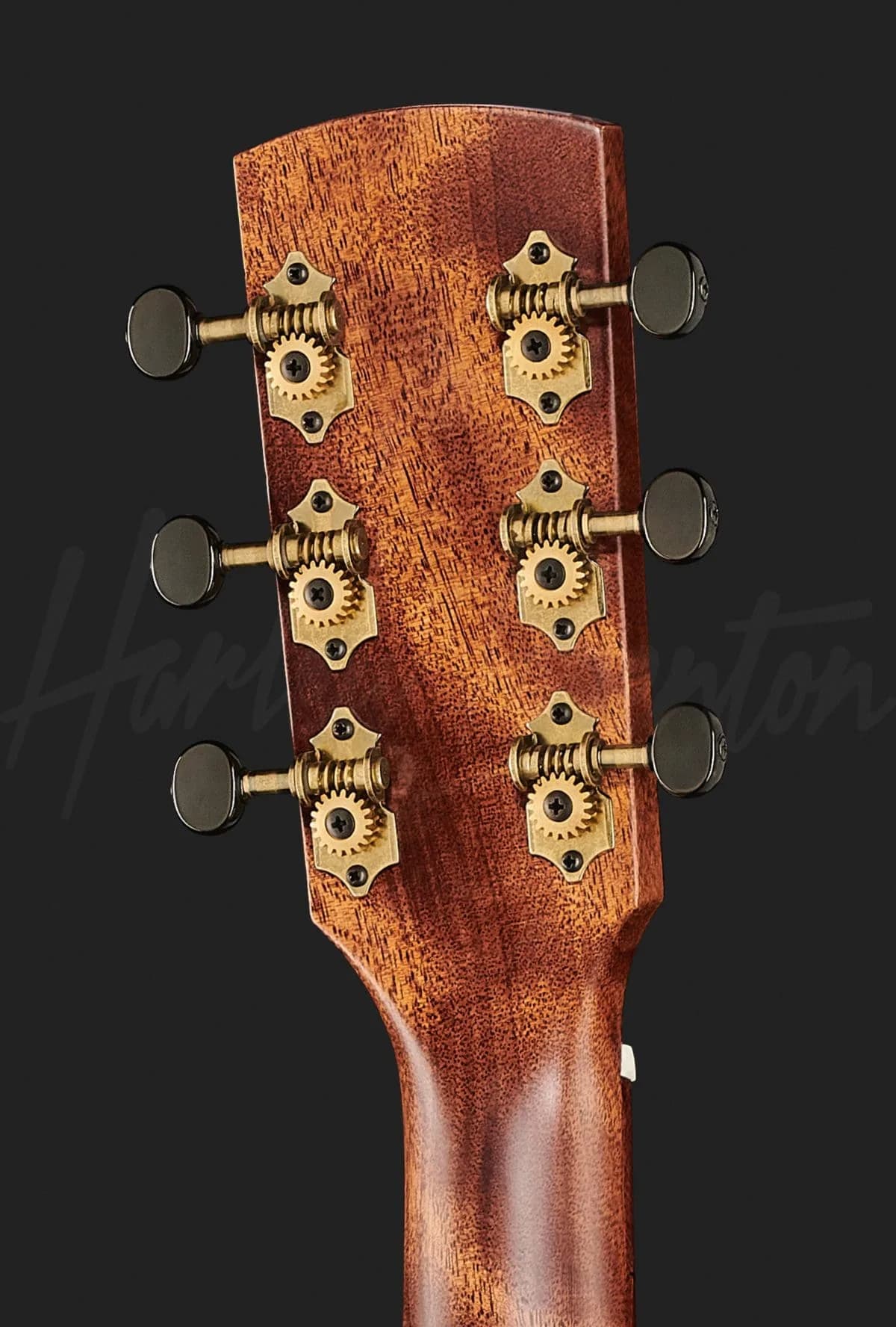 Harley Benton CLA-15M Solid Wood — photo 7