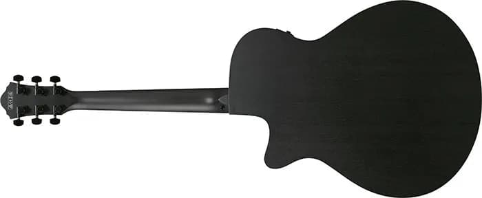 Ibanez AEG621 — photo 5