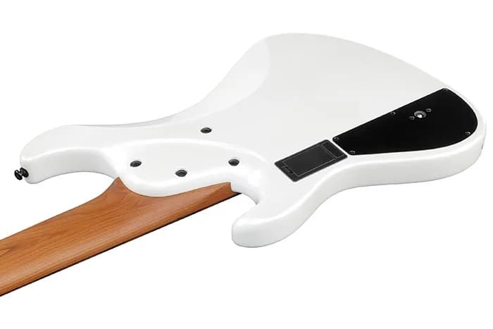Ibanez MDM1006 — photo 3