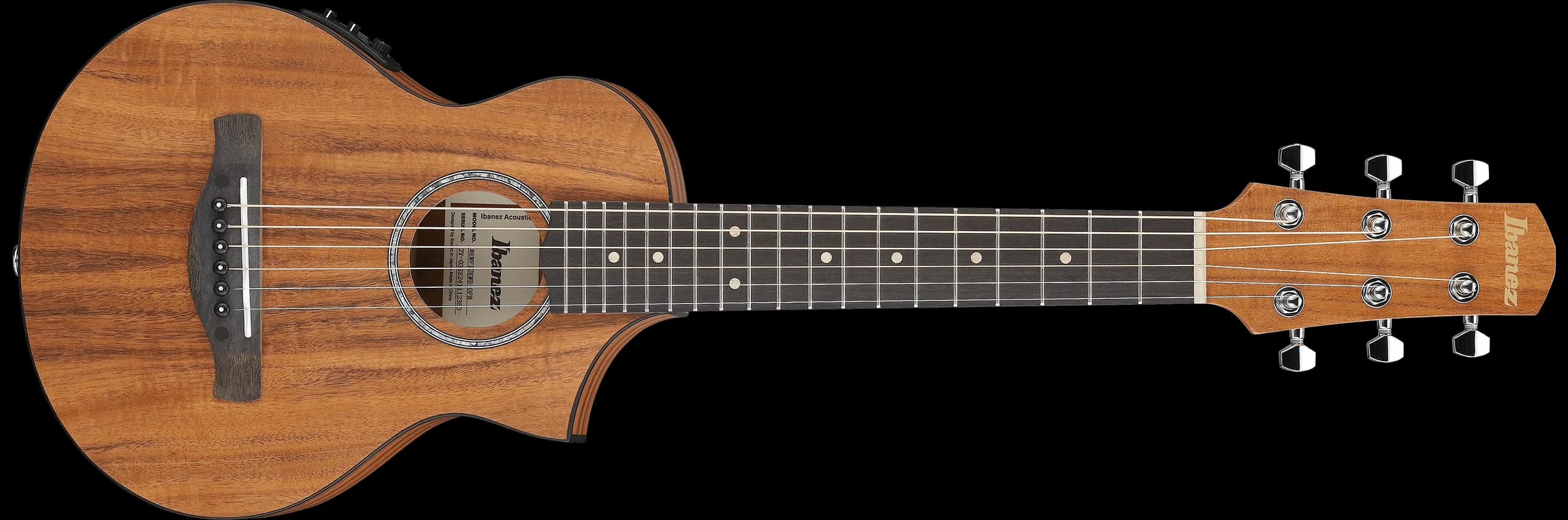 Ibanez EWP12EWB