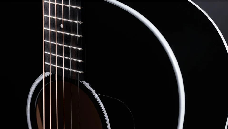 Taylor 217e-BLK Plus — photo 5