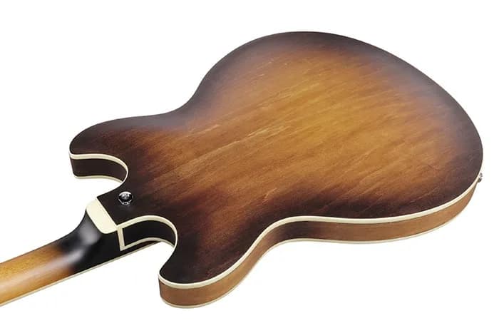 Ibanez AS53 — photo 5