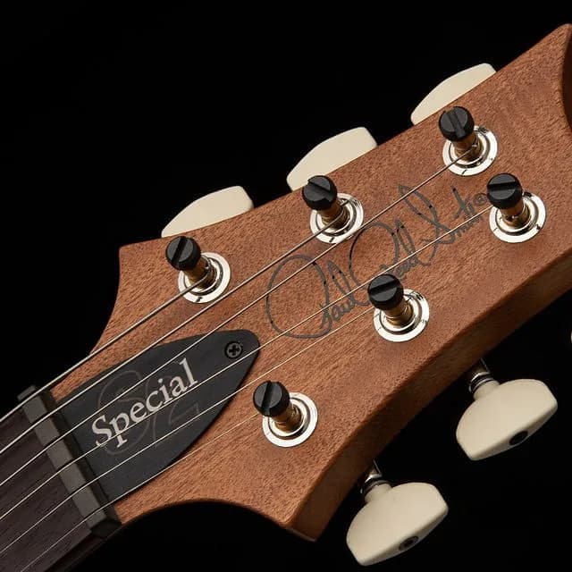 PRS S2 Special Semi-Hollow Reclaimed Limited Edition — photo 8