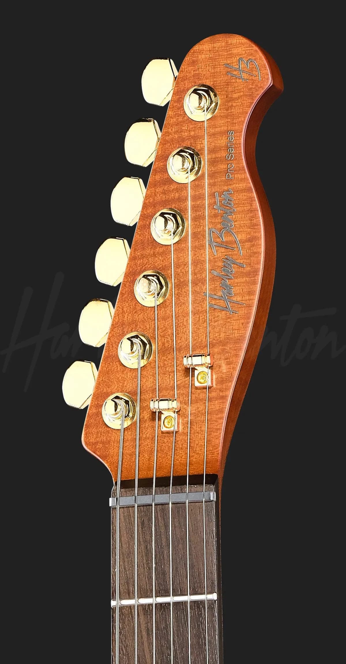 Harley Benton Fusion-T II HH RW HT PM — photo 6