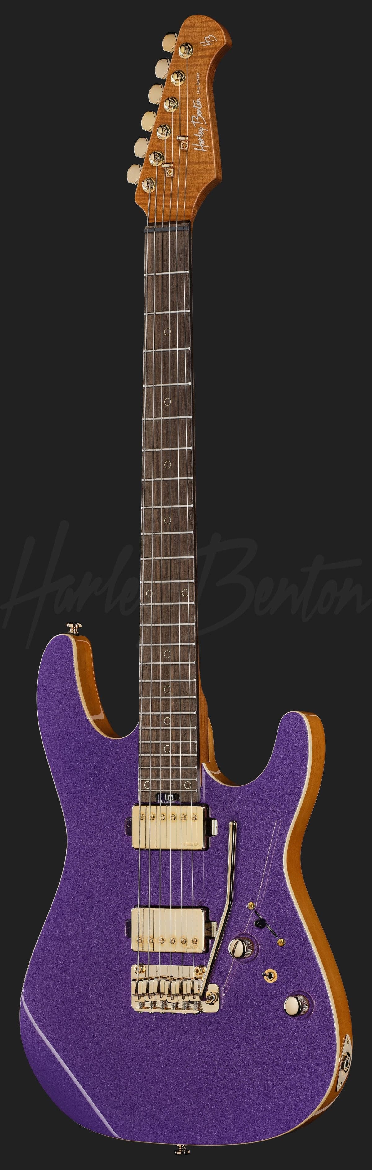 Harley Benton Fusion-IV HH RW PM — photo 2