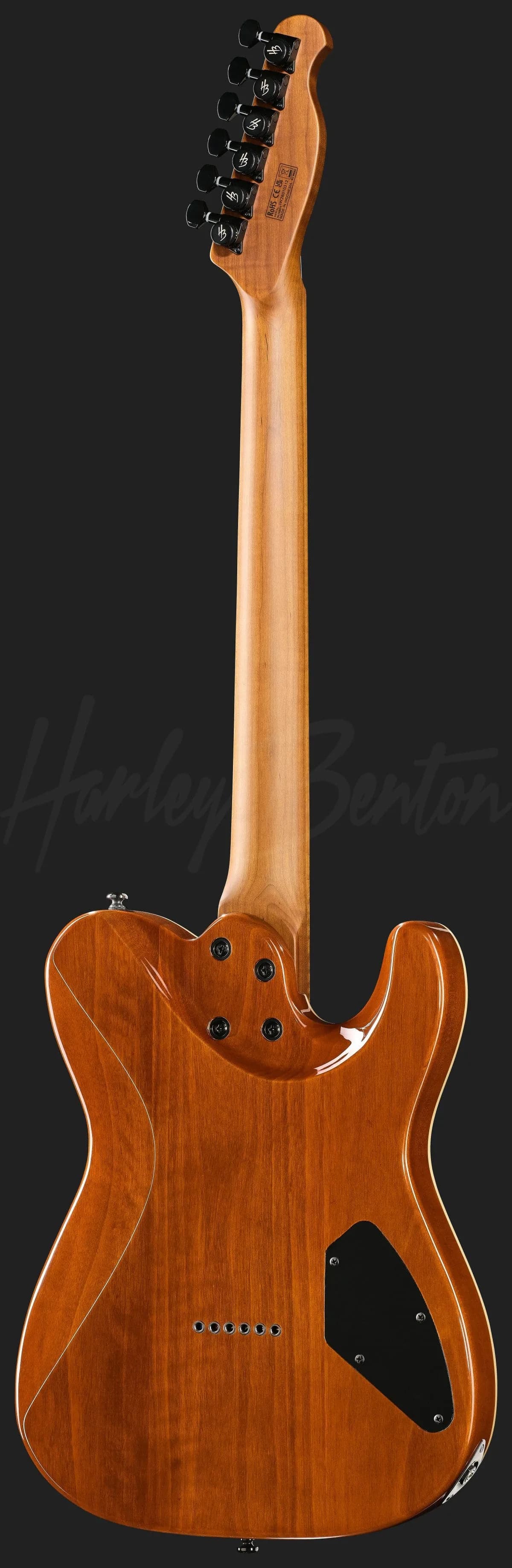 Harley Benton Fusion-T II HH LH MN HT BM — photo 3