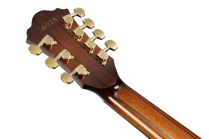 Ibanez AE3007FMH — photo 2