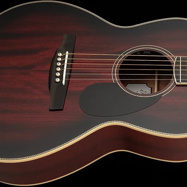 PRS SE P20E — photo 3
