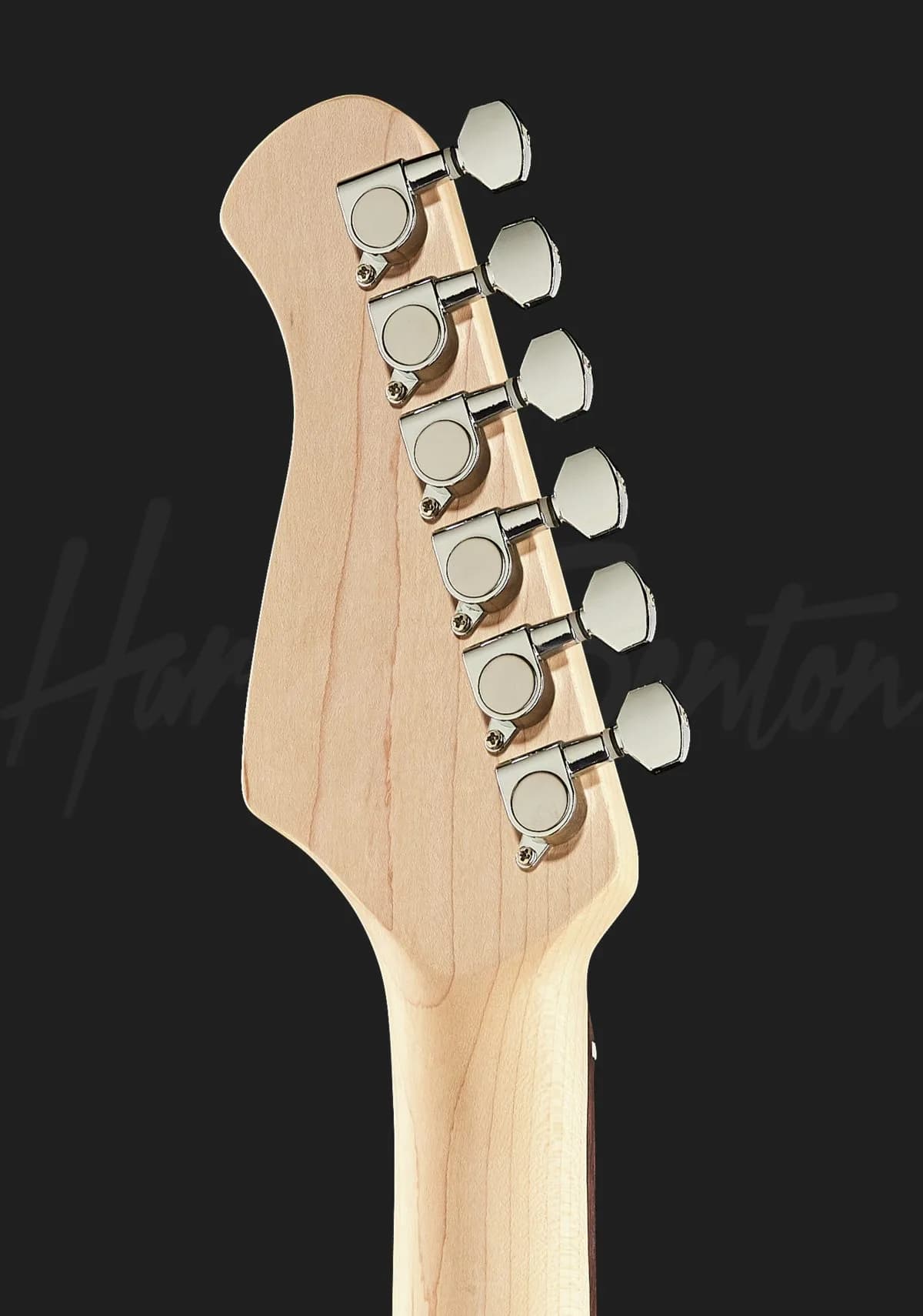 Harley Benton ST-20 BK — photo 7
