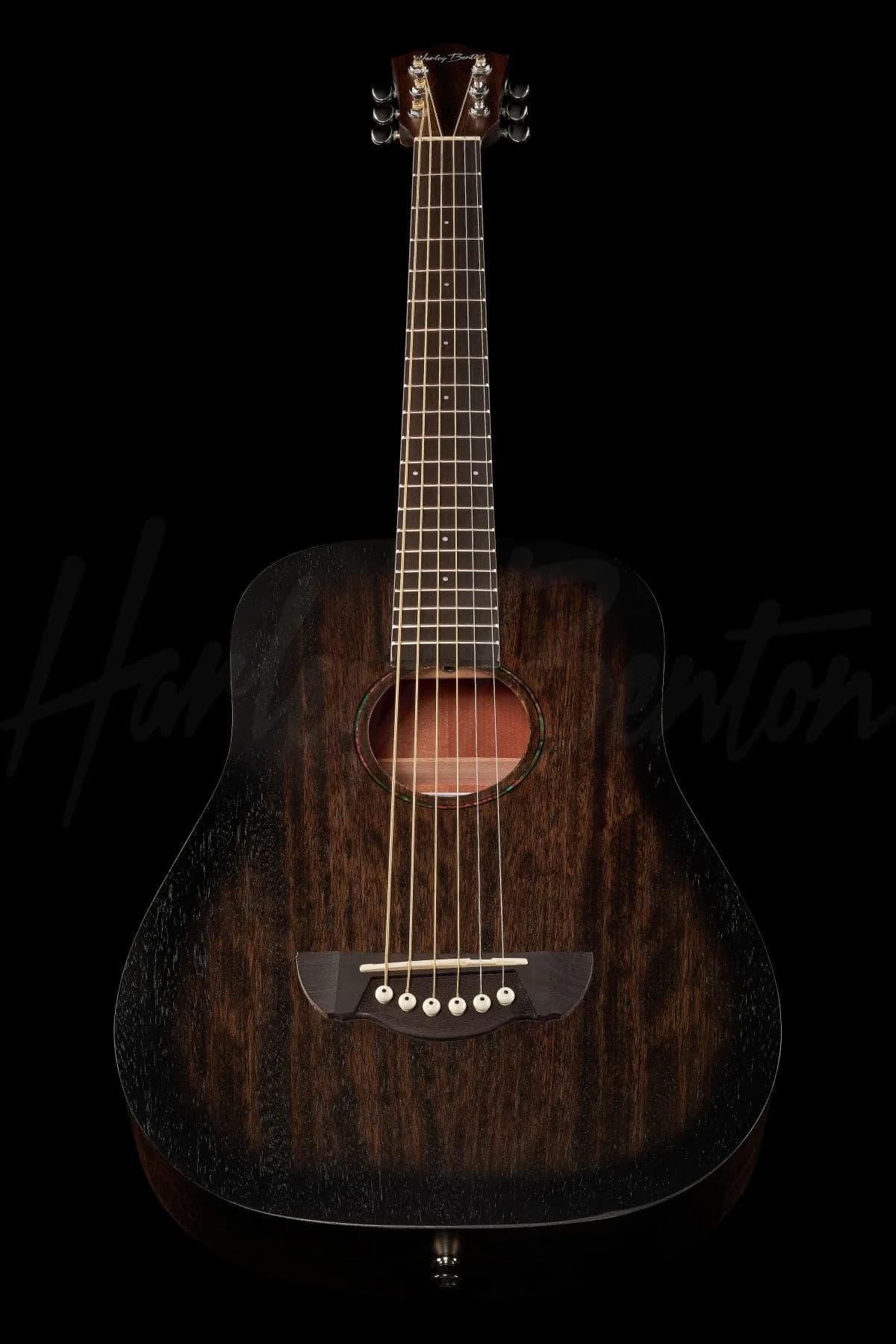 Harley Benton Delta Blues T — photo 8