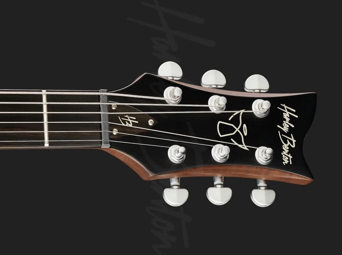 Harley Benton Agufish Standard STD BT BK — photo 6