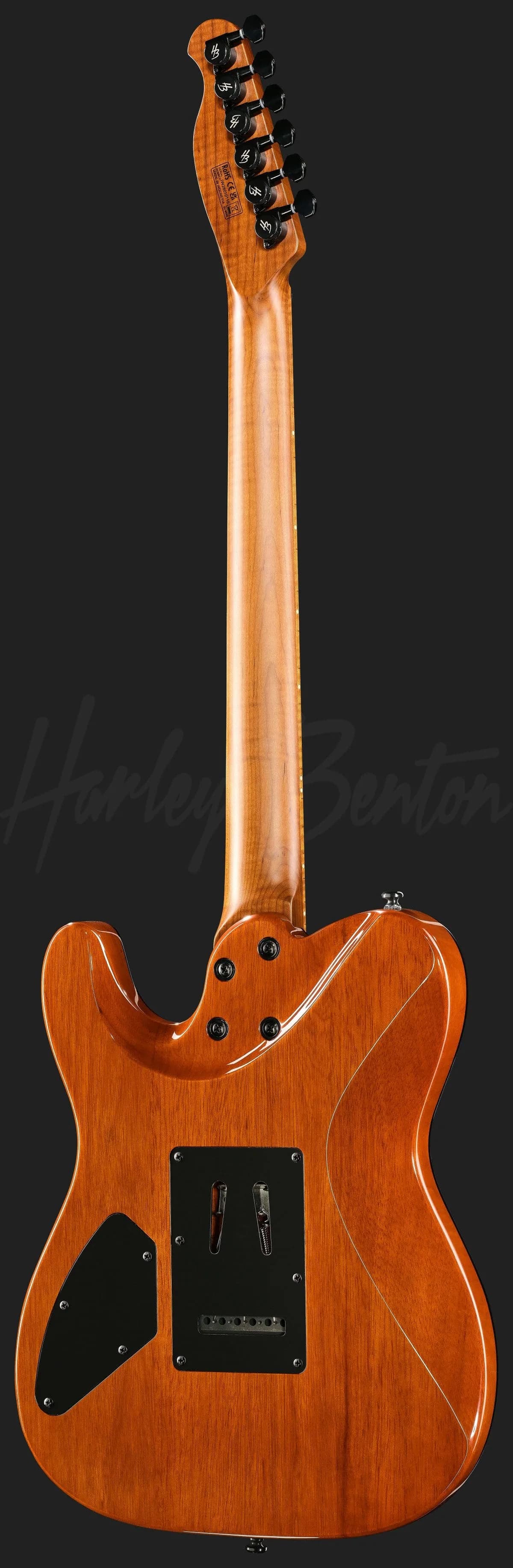Harley Benton Fusion-T II HH MN WM — photo 3