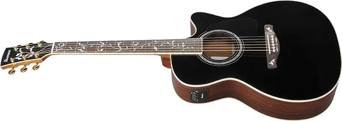 Ibanez AC391RCE — photo 4