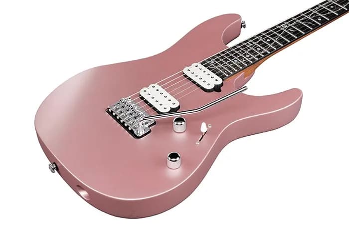 Ibanez TOD10 — photo 3