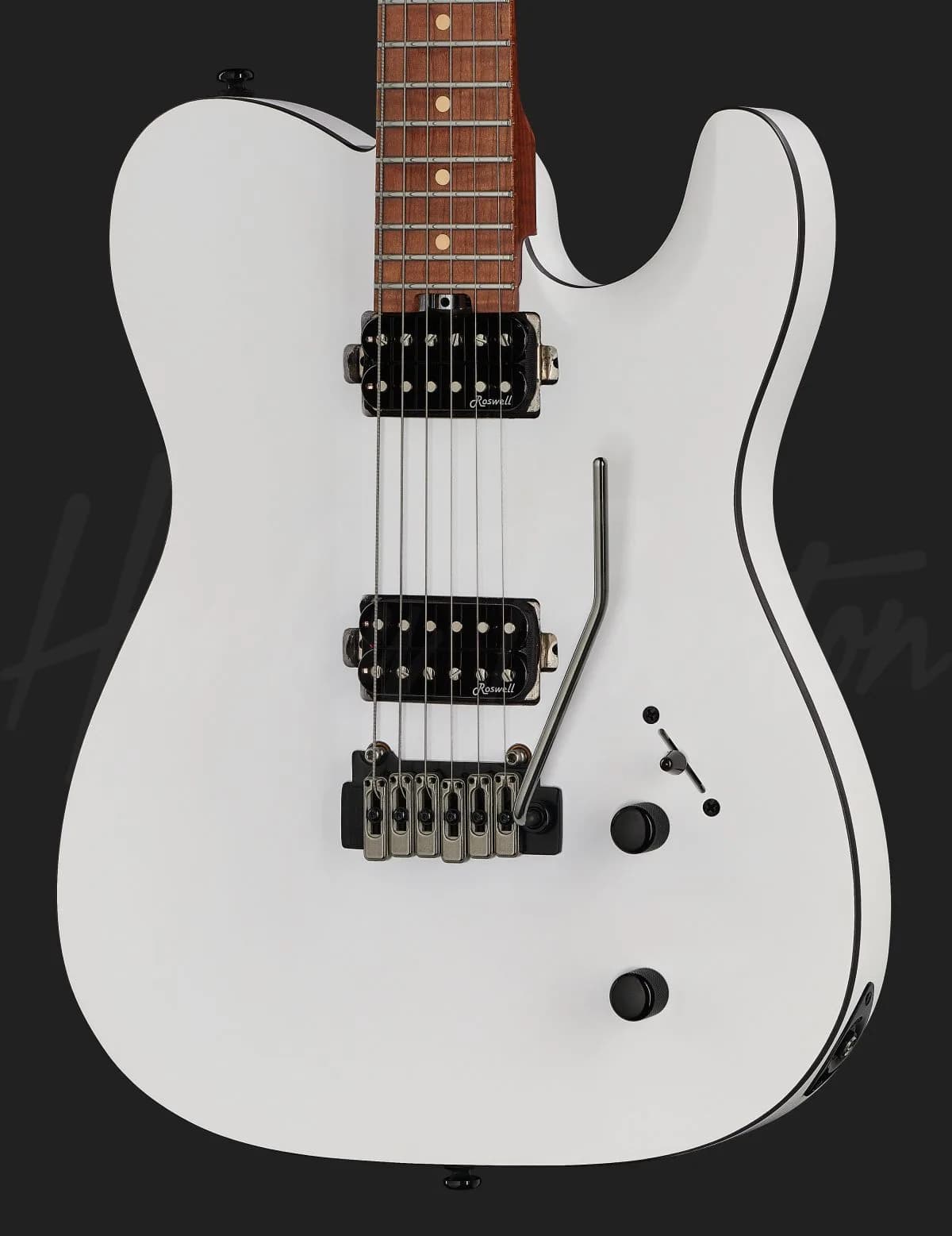 Harley Benton Fusion-T HH Roasted WM — photo 4