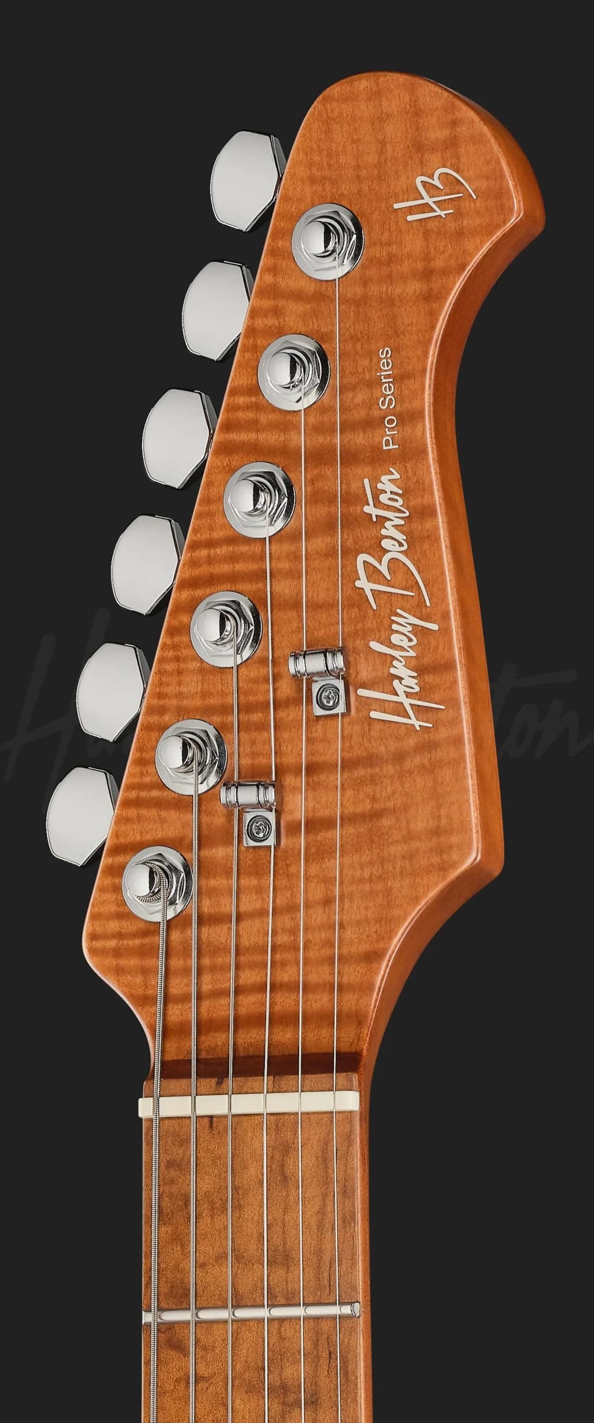 Harley Benton Fusion-IV HSS MN QBLB — photo 6