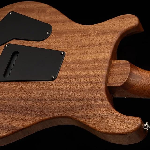 PRS S2 Special Semi-Hollow Reclaimed Limited Edition