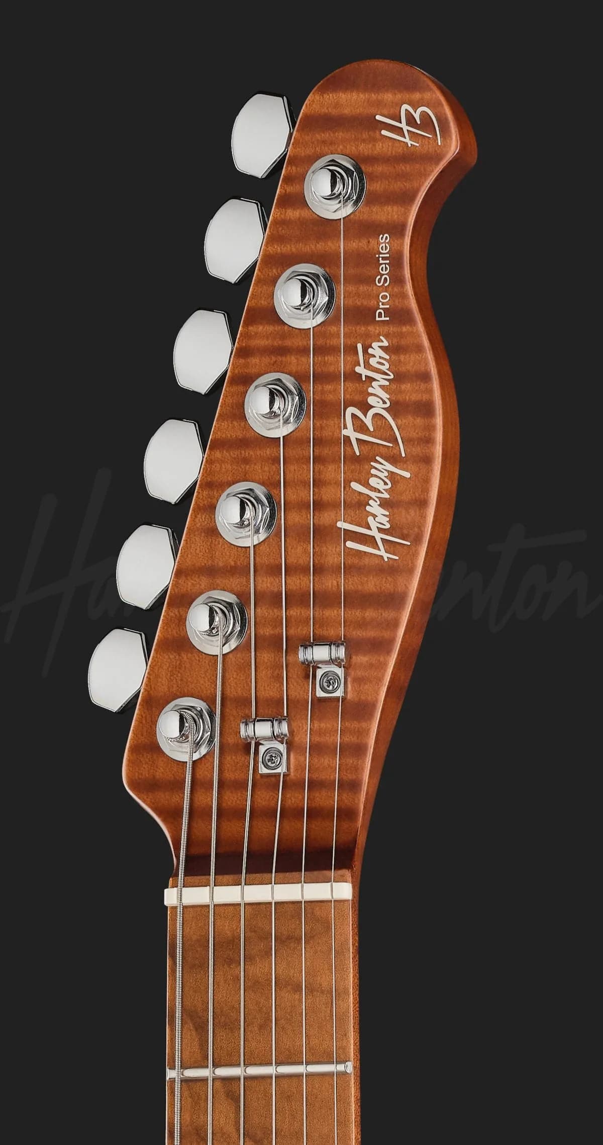 Harley Benton Fusion-T II HH MN SGR — photo 6