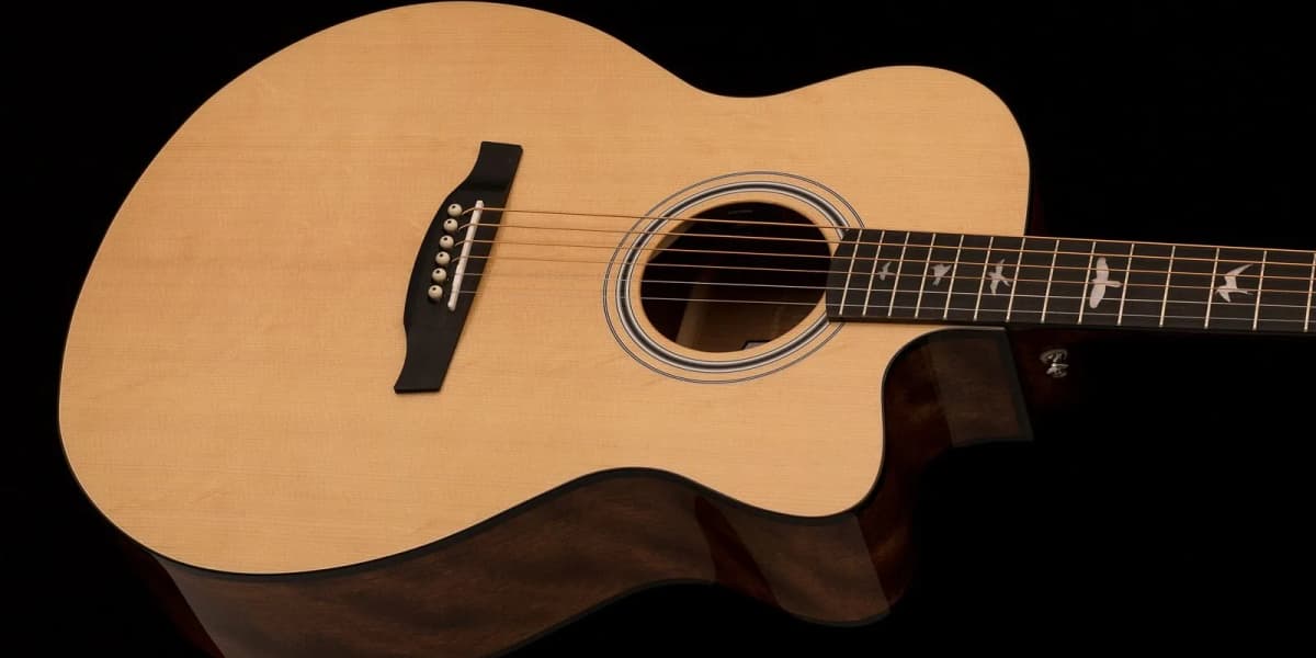 PRS SE AX20E