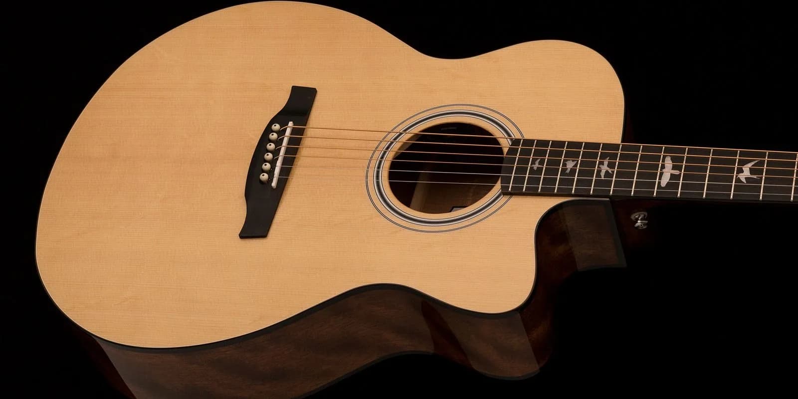 PRS SE AX20E