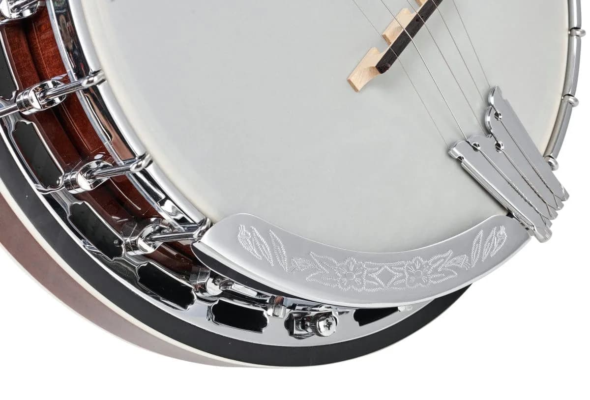 Harley Benton BJ-55Pro — photo 7