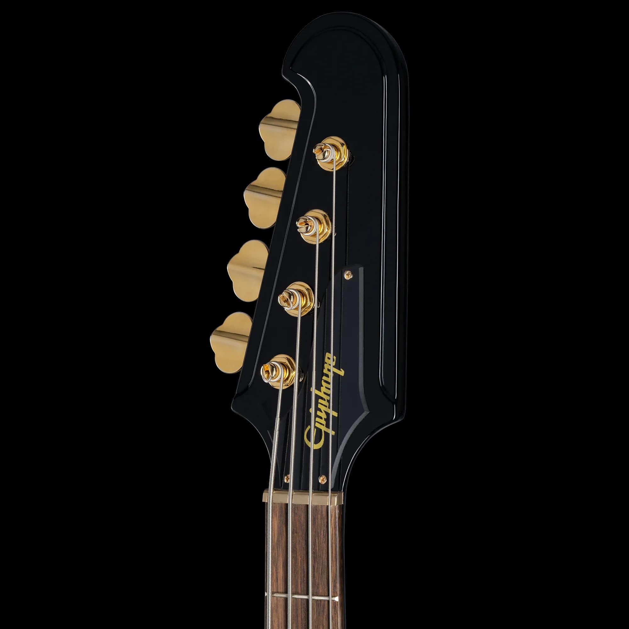 Epiphone Rex Brown Thunderbird Bass, Ebony — photo 5