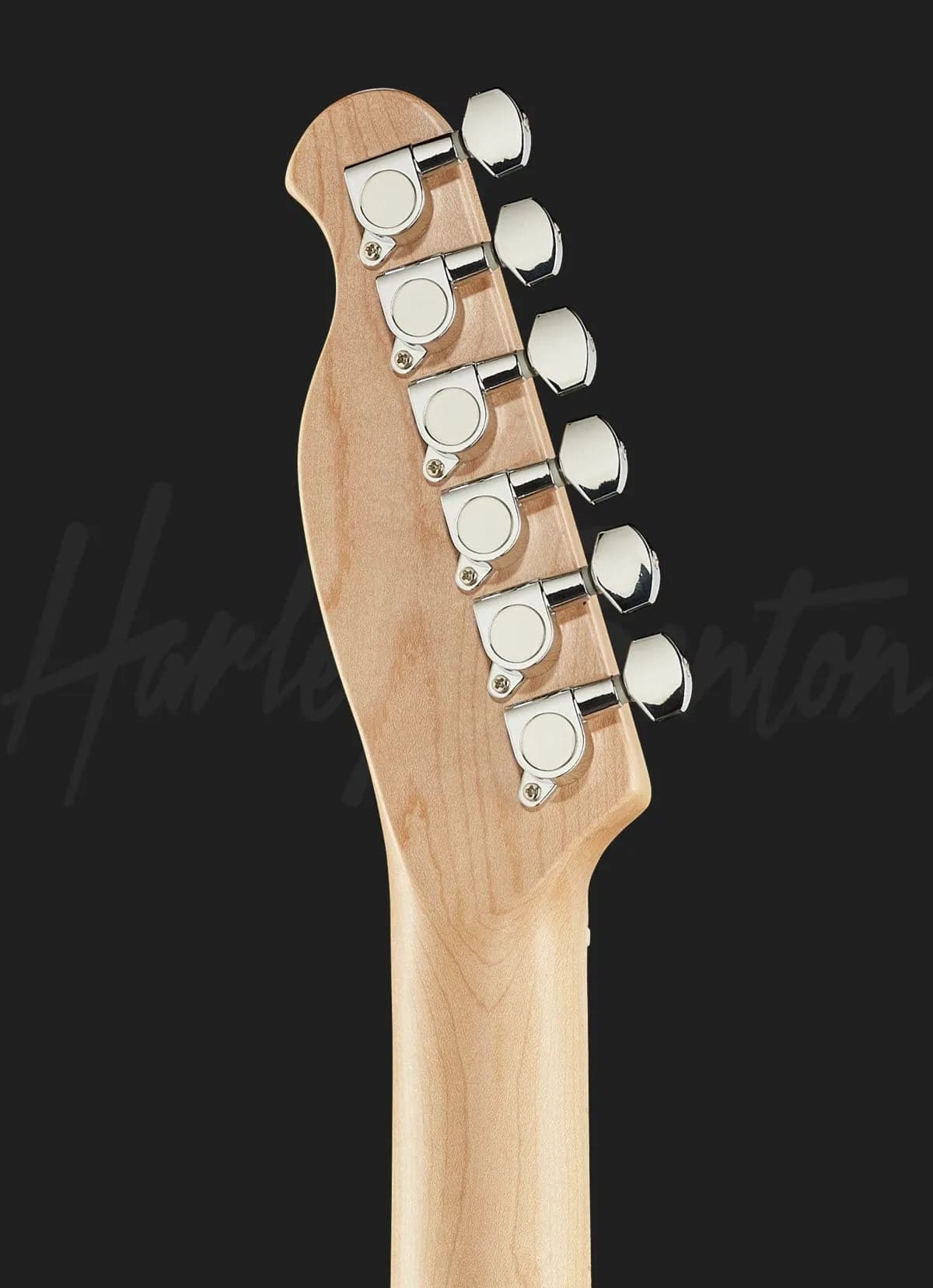 Harley Benton TE-20MN BM — photo 7