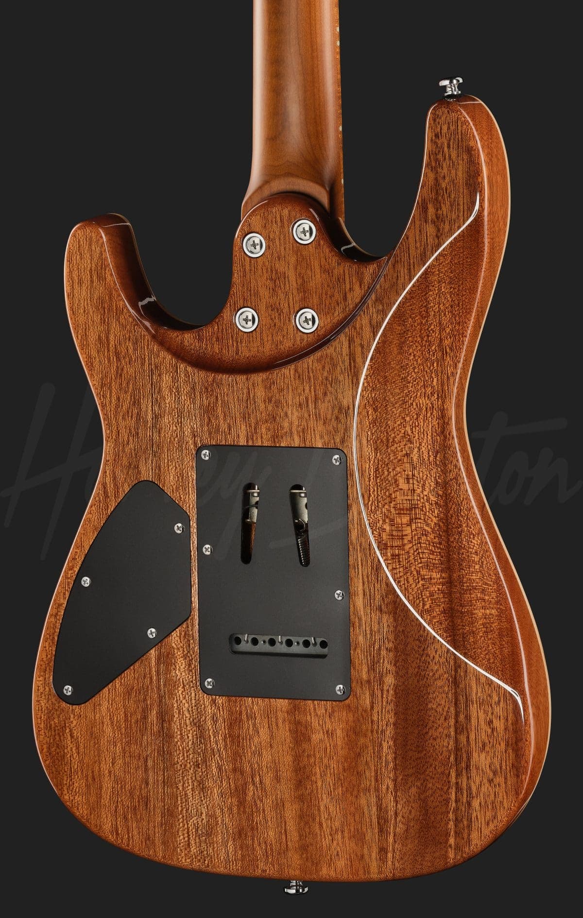Harley Benton Fusion-IV HSS MN QBLB — photo 5