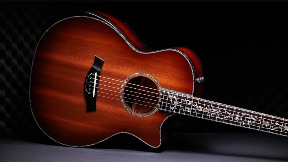 Taylor 50th Anniversary PS14ce LTD — photo 3