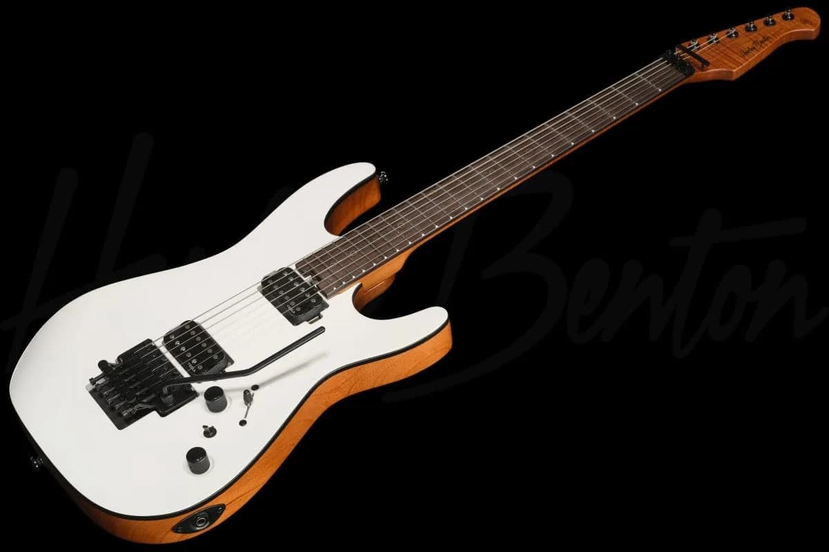 Harley Benton Fusion-IV HH RW FR WM — photo 8