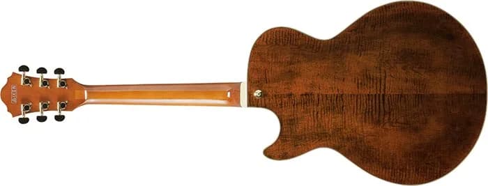 Ibanez AG95MG — photo 5
