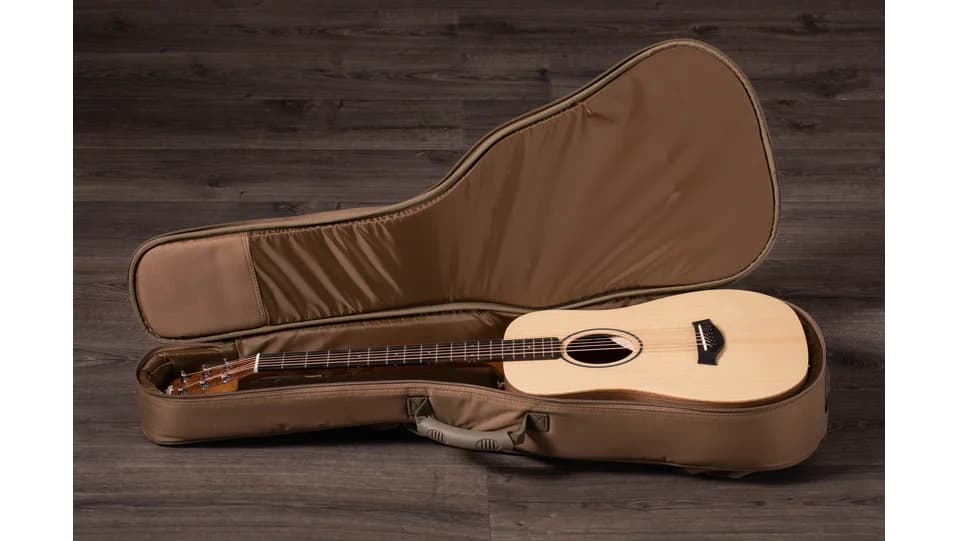 Taylor BT1e — photo 3