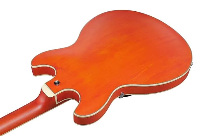 Ibanez AS73 — photo 7