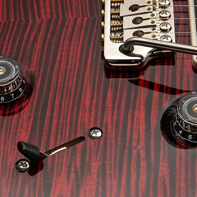PRS Custom 24 "Birds of a Feather" Limited Edition — photo 5