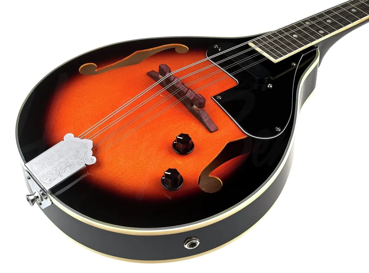 Harley Benton MA-50E VS — photo 5