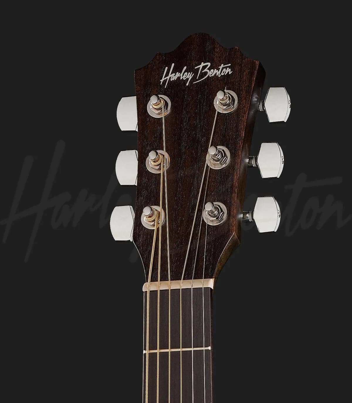 Harley Benton Delta Blues DCE — photo 4
