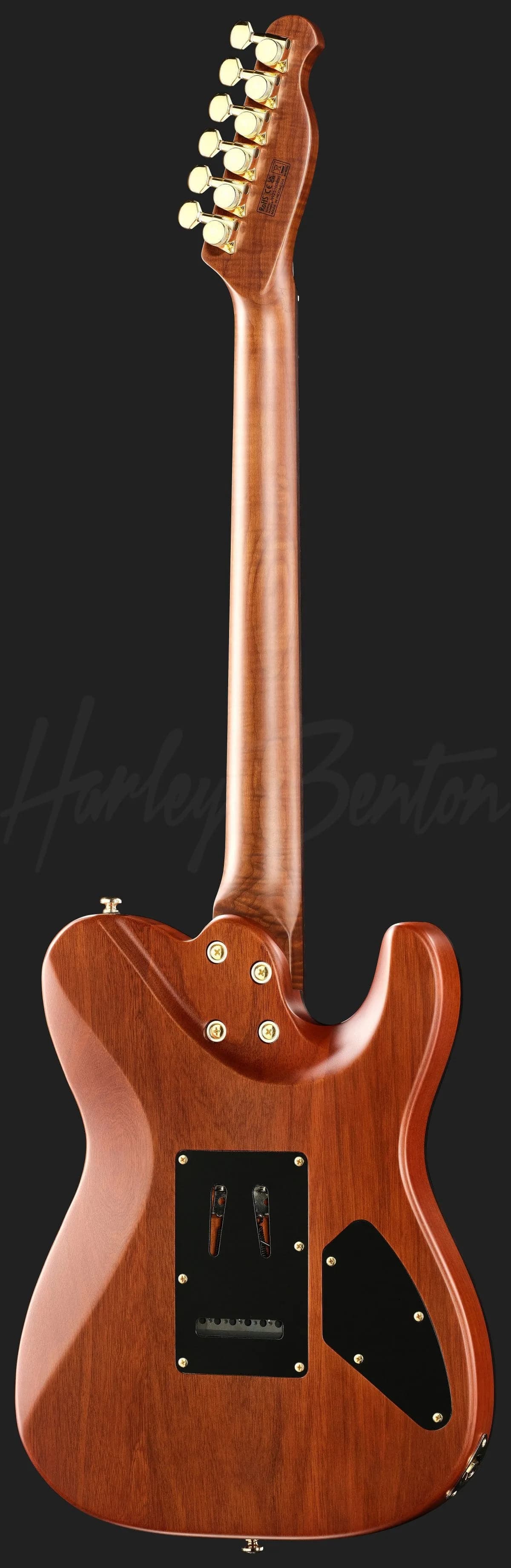 Harley Benton Fusion-T II HH LH RW SGD — photo 3