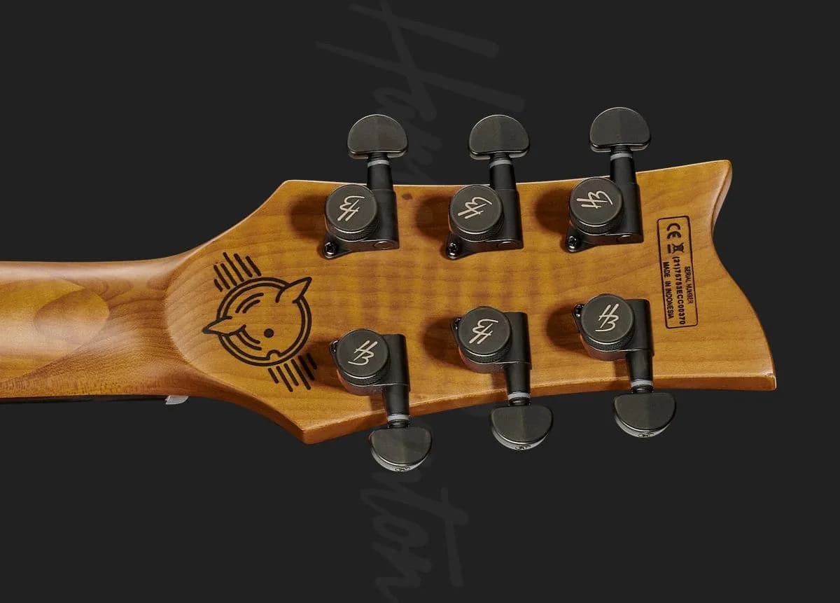 Harley Benton Agufish STD Signature SFG — photo 7