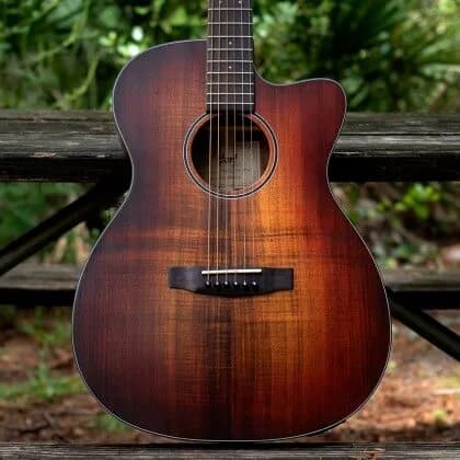Cort Core-OC Blackwood — photo 4
