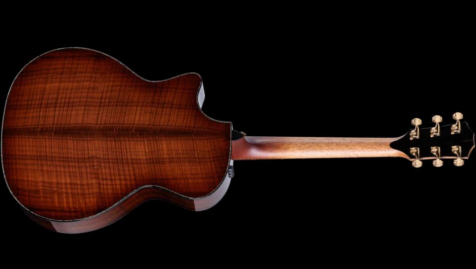 Taylor 50th Anniversary PS14ce LTD &amp; Circa 74 Amp — photo 2
