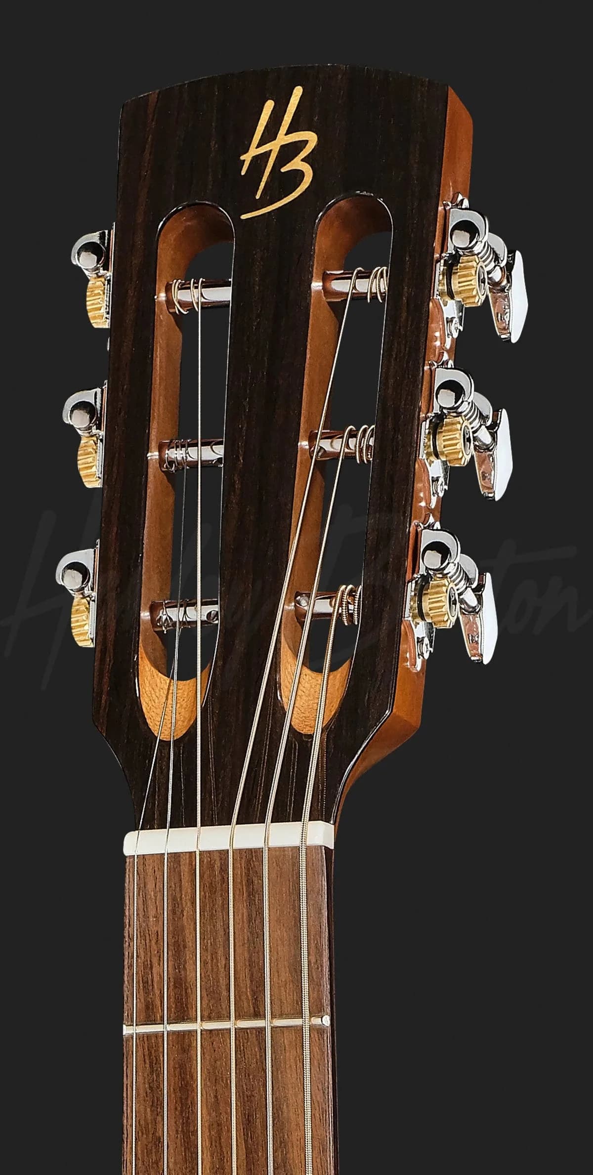 Harley Benton CLP-12SM BRS Solid Top LH — photo 6