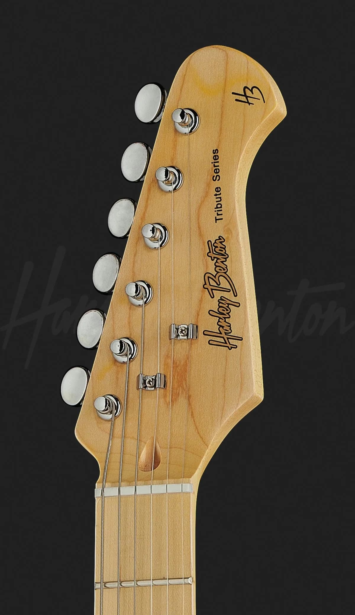 Harley Benton ST-57DG Black — photo 6