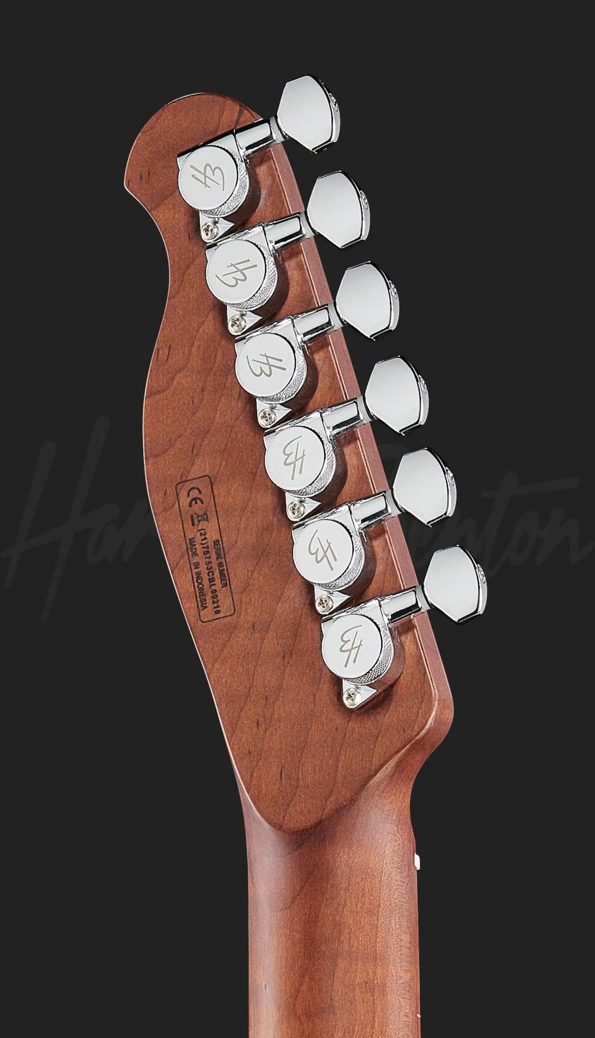 Harley Benton Fusion-T HH Roasted FNT — photo 7