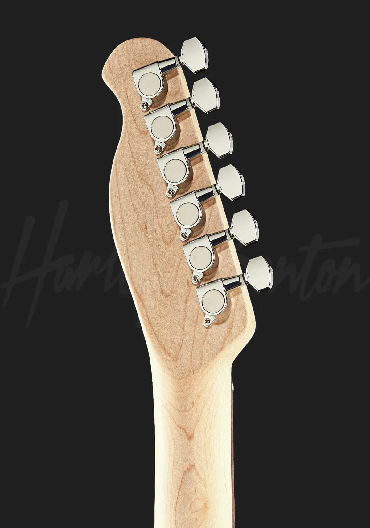 Harley Benton TE-20 BK — photo 7