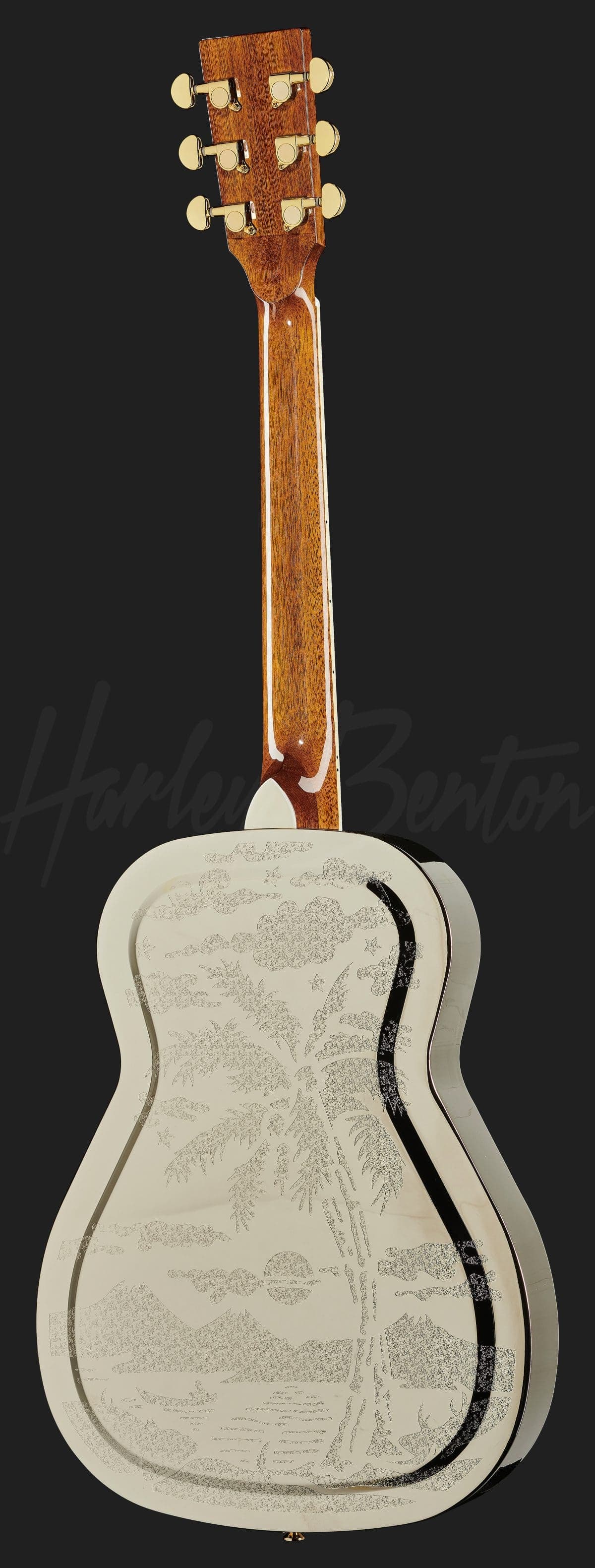 Harley Benton CLR-ResoElectric — photo 3
